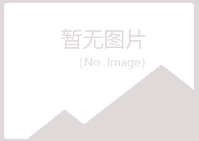 池州迷失音乐有限公司